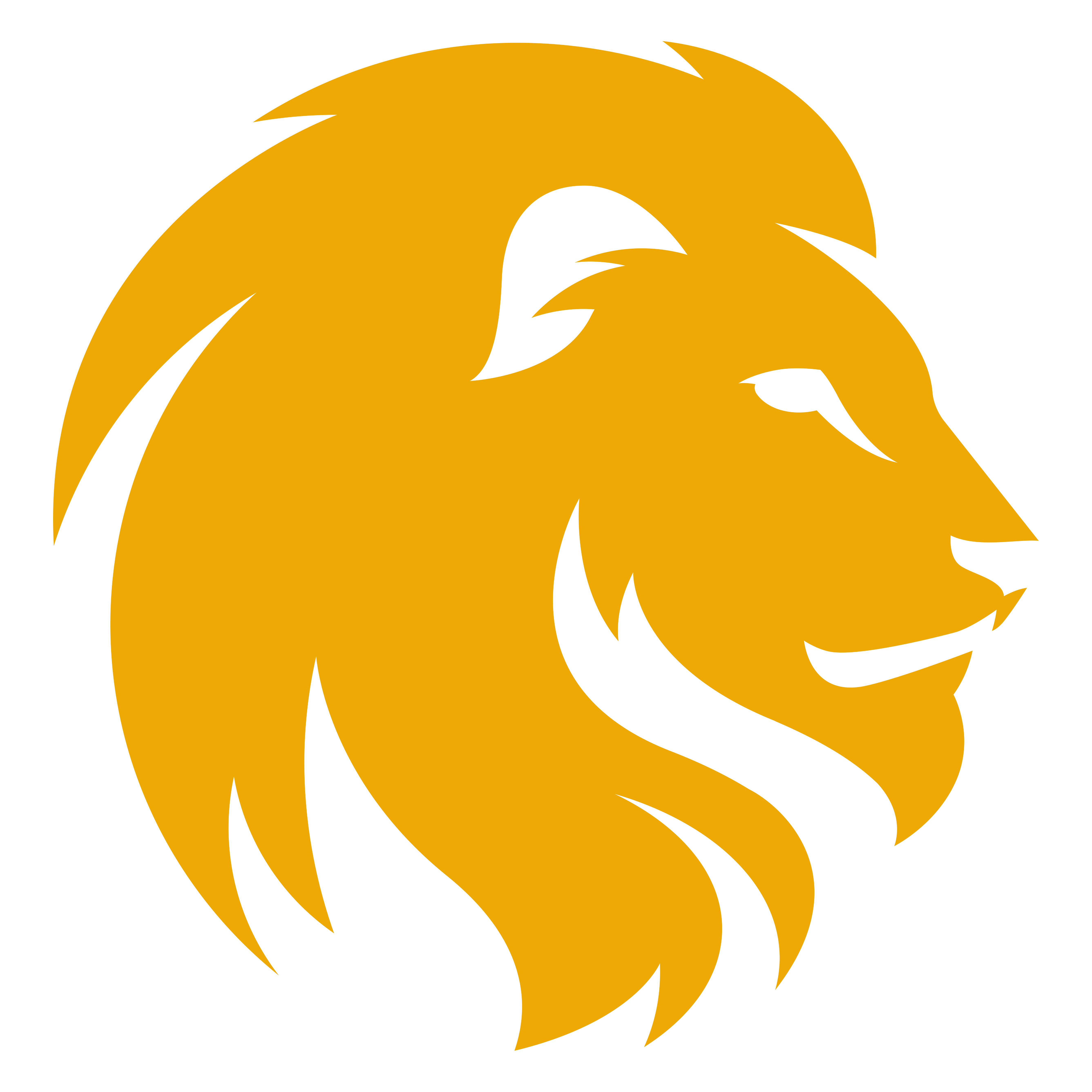 lion dev