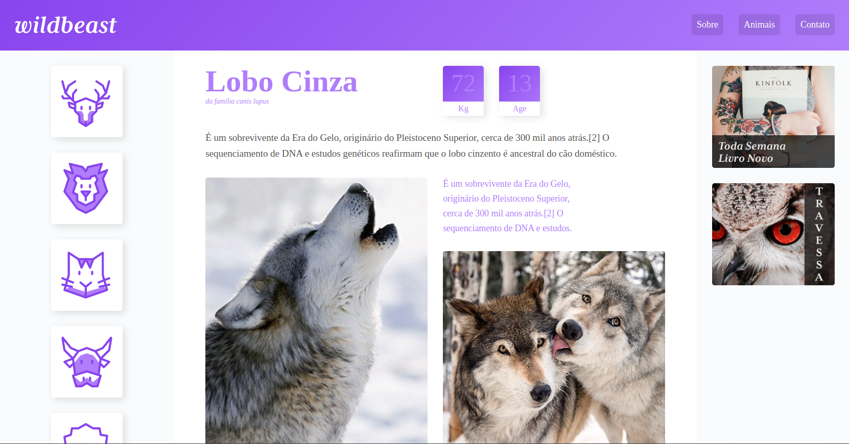 Tela do projeto Wildbeast